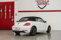 Volkswagen Maggiolino 1.2 TSI 105cv 6m BMT ALLSTAR cabriolet Weiß - thumbnail 9