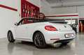 Volkswagen Maggiolino 1.2 TSI 105cv 6m BMT ALLSTAR cabriolet Weiß - thumbnail 5