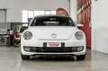 Volkswagen Maggiolino 1.2 TSI 105cv 6m BMT ALLSTAR cabriolet Weiß - thumbnail 12