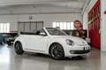 Volkswagen Maggiolino 1.2 TSI 105cv 6m BMT ALLSTAR cabriolet Weiß - thumbnail 6