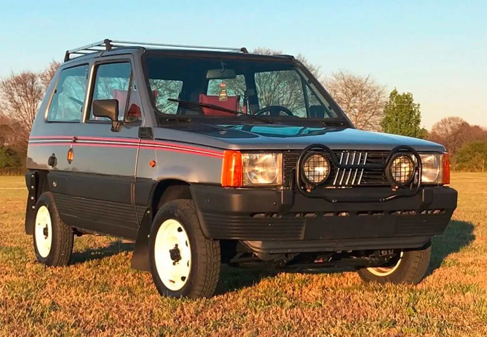 Fiat Panda - 1