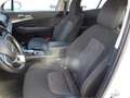 Kia Sportage 1,6 TGDI HEV Silber Aut. Weiß - thumbnail 18