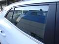 Kia Sportage 1,6 TGDI HEV Silber Aut. Weiß - thumbnail 13