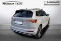 Skoda Karoq 2,0 TDI 4x4 DSG Sportline Grau - thumbnail 2