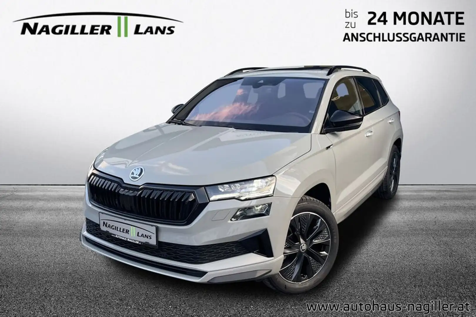 Skoda Karoq 2,0 TDI 4x4 DSG Sportline Grau - 1