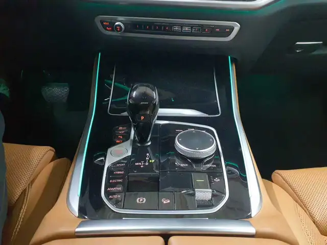 BMW X5 view 10