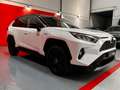 Toyota RAV 4 2.5 hybrid 4WD Black Edition Blanco - thumbnail 12