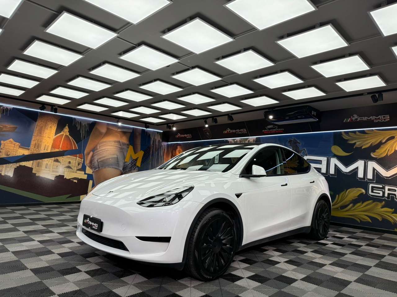 Tesla Model Y Model Y RWD (485)