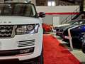 Land Rover Range Rover Vogue*HSE*PDC*MERIDIAN SOUND*PANO* Weiß - thumbnail 20