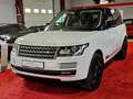 Land Rover Range Rover Vogue*HSE*PDC*MERIDIAN SOUND*PANO* Weiß - thumbnail 19