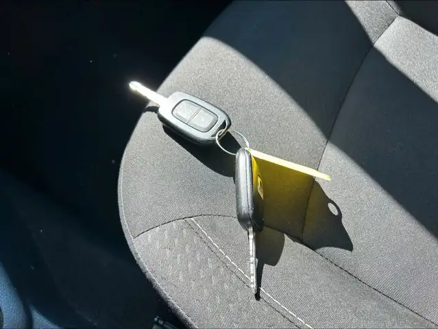Dacia Logan view 29