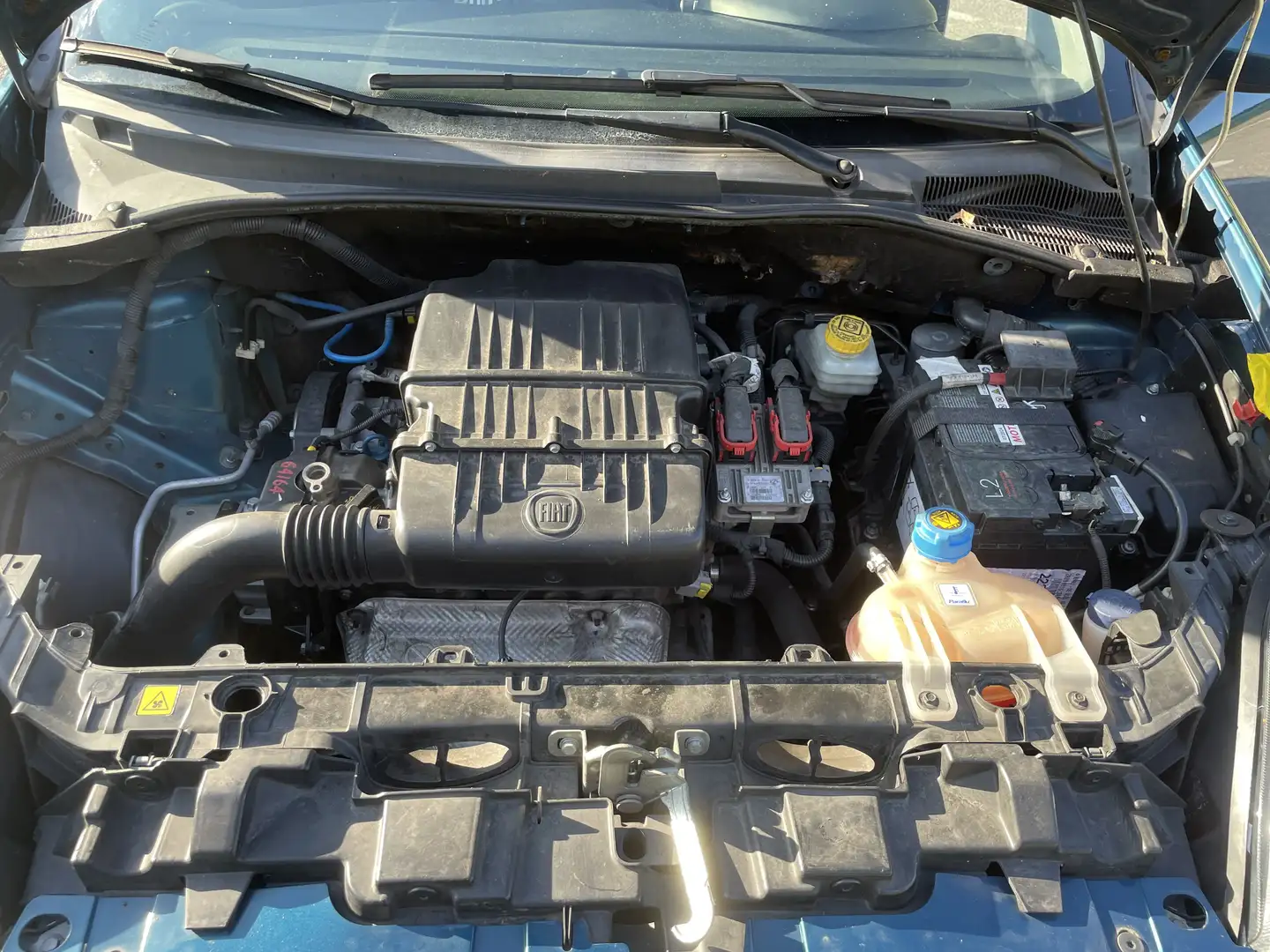 Fiat Punto Evo 5p 1.2 Dynamic s&s - 1