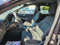 Ford Kuga Hybrid ST-Line Schwarz - thumbnail 12