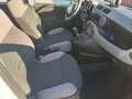 Fiat Panda 1.0 FireFly S&S Hybrid City Life PREZZO REALE!! Weiß - thumbnail 8