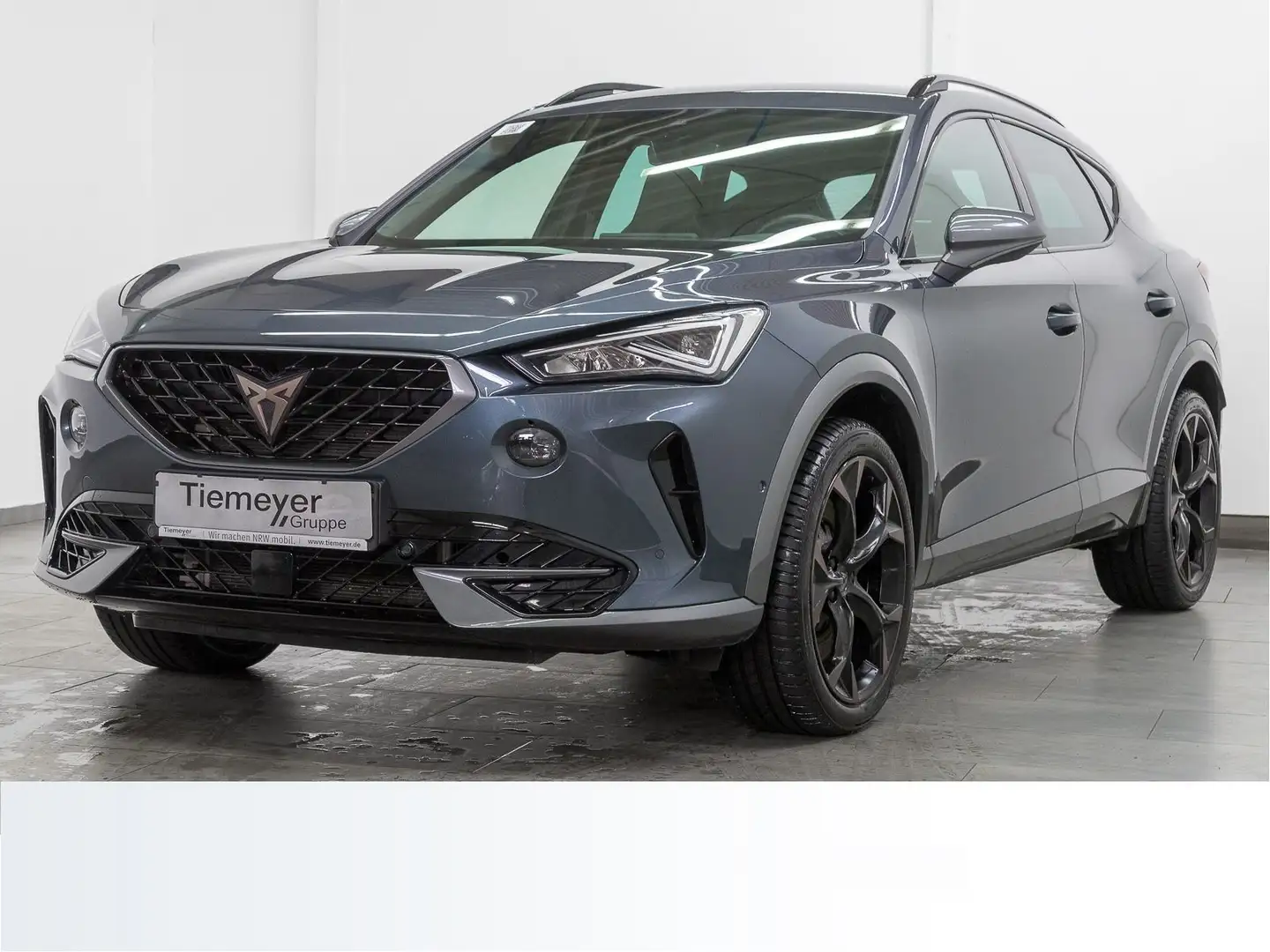 CUPRA Formentor 2.0 TSI DSG VZ BREMBO beats KAMERA L19 Grau - 2