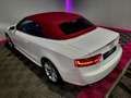 Audi A5 Cabrio 1.8 TFSI S-Line Weiß - thumbnail 16