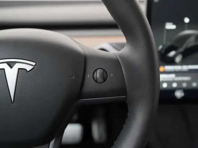 Tesla Model Y view 9