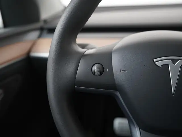 Tesla Model Y view 8