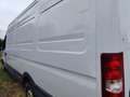 Iveco Daily 35 S 14 V Express - thumbnail 8
