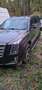 Cadillac Escalade Escalade 6.2 V8 ESV Platinum Grigio - thumbnail 3