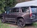 Cadillac Escalade Escalade 6.2 V8 ESV Platinum Grau - thumbnail 4