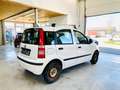 Fiat Panda 1.2 8V Dynamic #TÜV#KLIMA#el.Fenster#WR+SR#Eur5 Weiß - thumbnail 5
