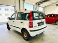 Fiat Panda 1.2 8V Dynamic #TÜV#KLIMA#el.Fenster#WR+SR#Eur5 Weiß - thumbnail 6