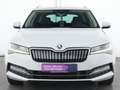 Skoda Superb L&K ACC|Kessy|LED|Navi|Leder|Standheizung Weiß - thumbnail 3