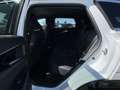Renault Austral 360°|NAVI|SHZ|Klimaaut.|CarPlay|PDC|LED Weiß - thumbnail 10