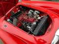 MG MGA MGA Mk1 1600 Rosso - thumbnail 11