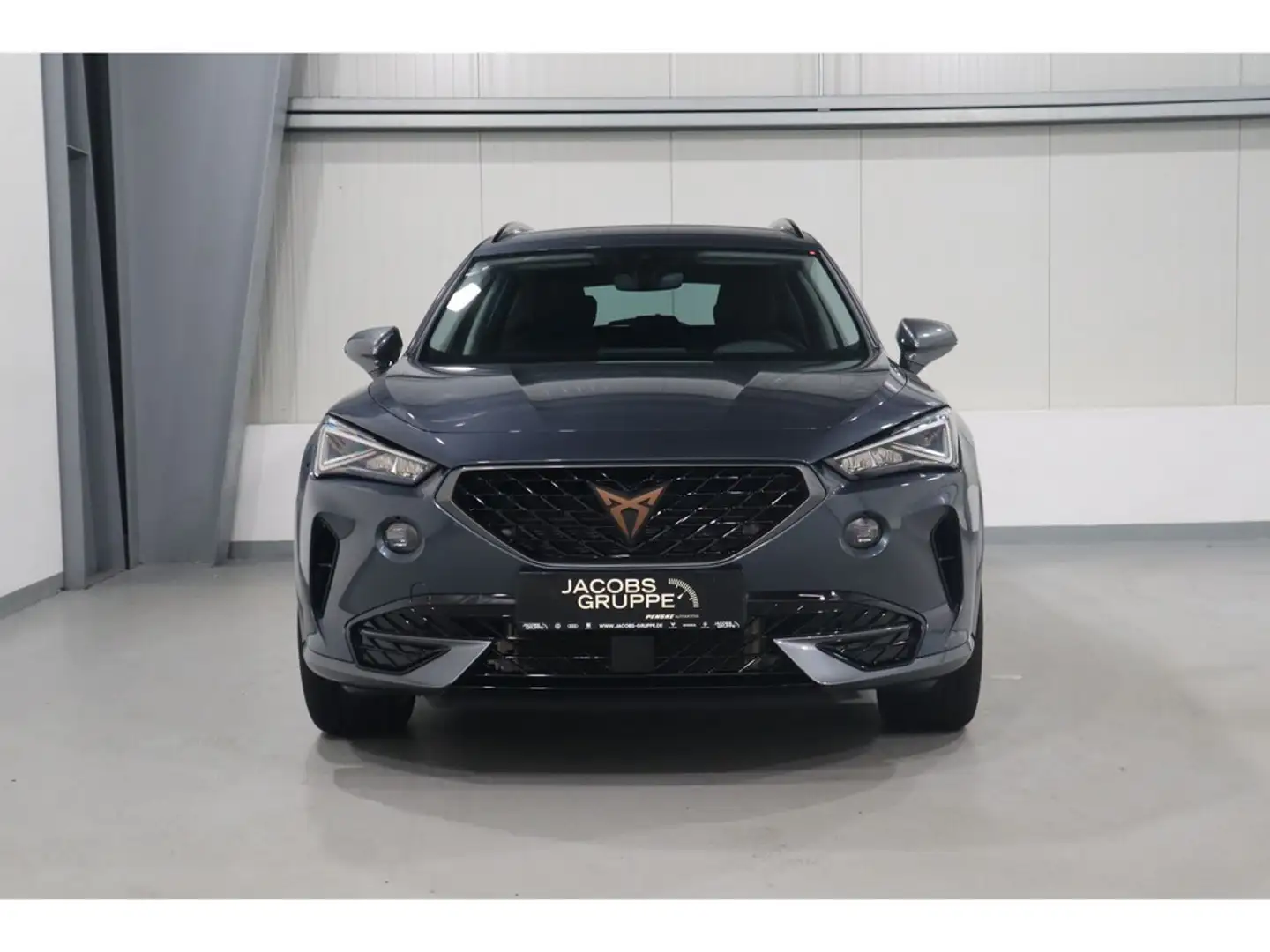 CUPRA Formentor 2.0 TSI DSG AHK,PDC,LED 4Drive Grau - 2