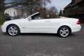 Mercedes-Benz CLK 280 3.0 CLK280 CABRIOLET AUT Avantgarde Edition.EERSTE Blanco - thumbnail 5