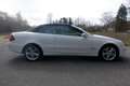 Mercedes-Benz CLK 280 3.0 CLK280 CABRIOLET AUT Avantgarde Edition.EERSTE Blanco - thumbnail 2