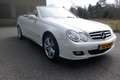 Mercedes-Benz CLK 280 3.0 CLK280 CABRIOLET AUT Avantgarde Edition.EERSTE Blanco - thumbnail 6