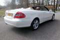 Mercedes-Benz CLK 280 3.0 CLK280 CABRIOLET AUT Avantgarde Edition.EERSTE Blanco - thumbnail 8