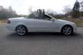 Mercedes-Benz CLK 280 3.0 CLK280 CABRIOLET AUT Avantgarde Edition.EERSTE Blanco - thumbnail 1