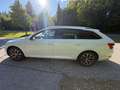 Skoda Superb Style DSG Voll Weiß - thumbnail 4