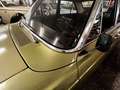 Ford Overig undefined Verde - thumbnail 27