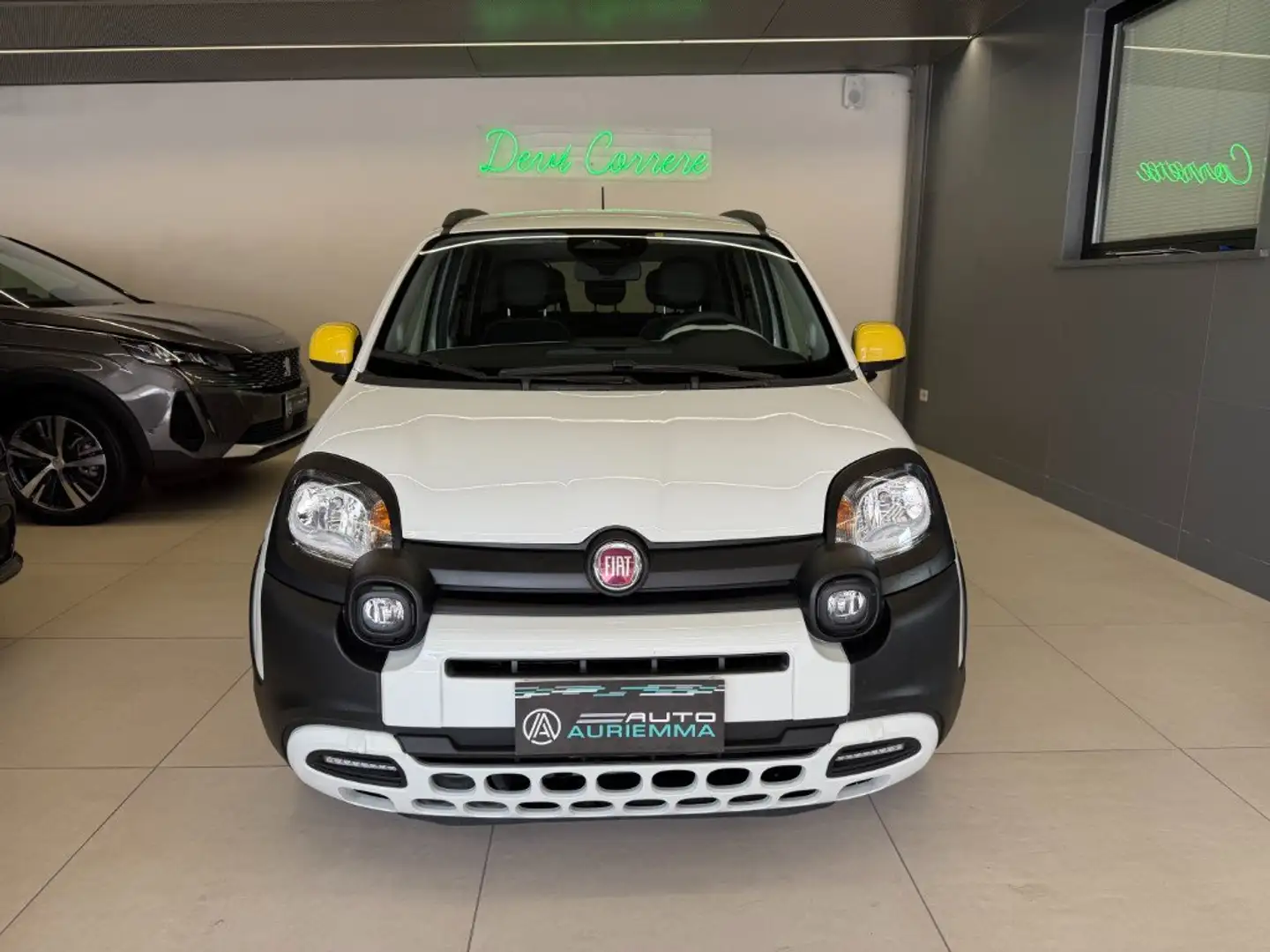 Fiat Panda PANDINA CROSS 1000 HYBRID FIREFLAY UFFICIALE Bianco - 2