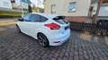 Ford Focus ST-Line Sitzh. Klimaauto. Navi Original Kilometer Weiß - thumbnail 7