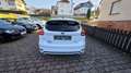 Ford Focus ST-Line Sitzh. Klimaauto. Navi Original Kilometer Weiß - thumbnail 8