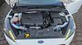 Ford Focus ST-Line Sitzh. Klimaauto. Navi Original Kilometer Weiß - thumbnail 19