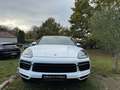 Porsche Cayenne Cayenne Coupe E-Hybrid 3.0 V6 462 ch Tiptronic BVA Weiß - thumbnail 12