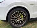 Porsche Cayenne Cayenne Coupe E-Hybrid 3.0 V6 462 ch Tiptronic BVA Weiß - thumbnail 21
