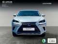 Lexus NX 300 300h Business Navigation 2WD Blanc - thumbnail 5