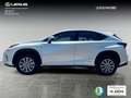 Lexus NX 300 300h Business Navigation 2WD Blanc - thumbnail 3