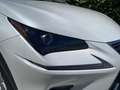 Lexus NX 300 300h Business Navigation 2WD Blanc - thumbnail 22