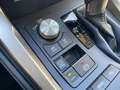 Lexus NX 300 300h Business Navigation 2WD Blanc - thumbnail 20
