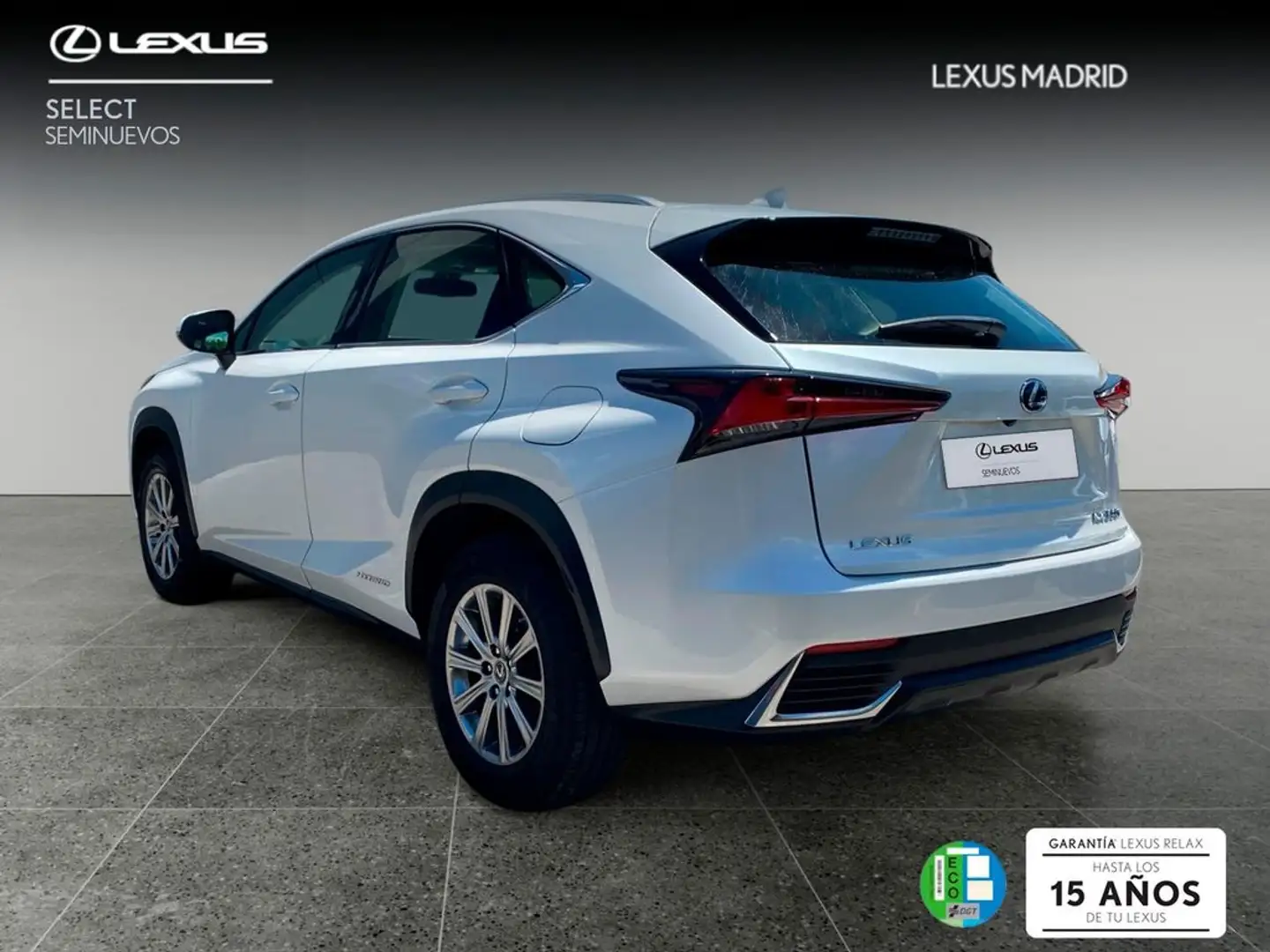 Lexus NX 300 300h Business Navigation 2WD Blanco - 2