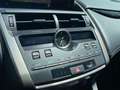 Lexus NX 300 300h Business Navigation 2WD Blanc - thumbnail 17